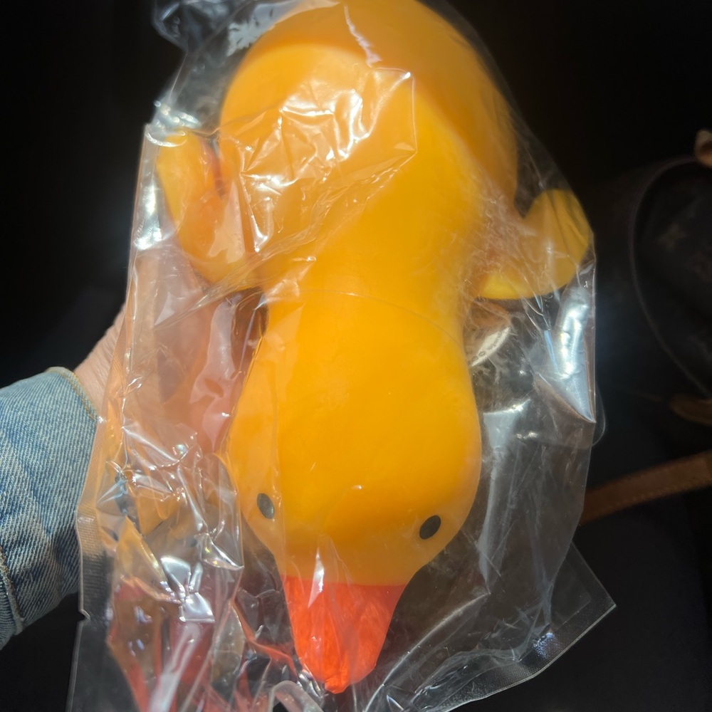 JA-RU Duck Squishy with tag